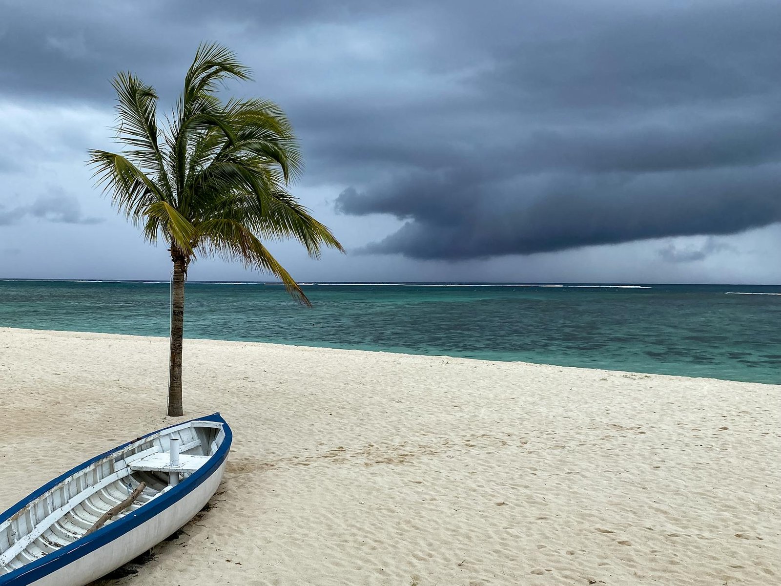 photo/a-boat-near-a-palm-tree-on-a-beach-under-a-cloudy-sky-