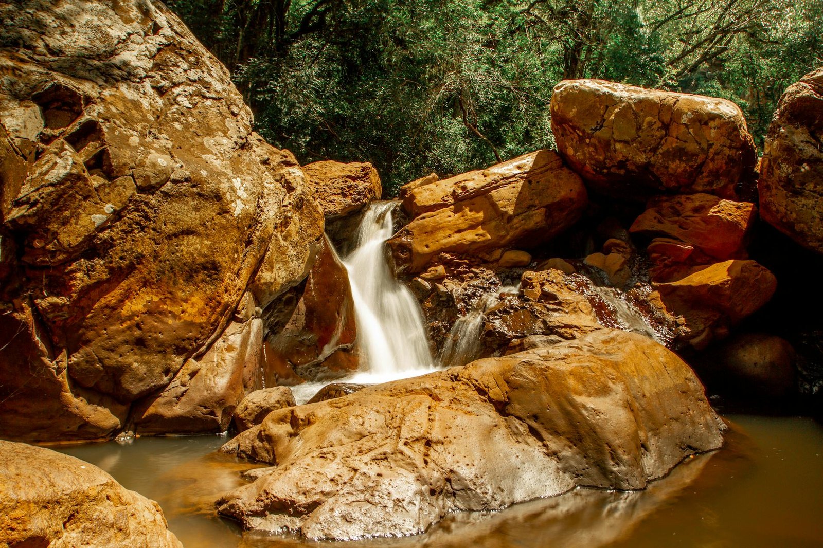 serene-waterfall-in-brazilian-wilderness-29112515/