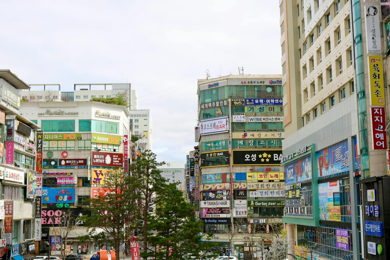 photo/advertisements-covering-buildings-on-street-corner-in-seoul-16860234/